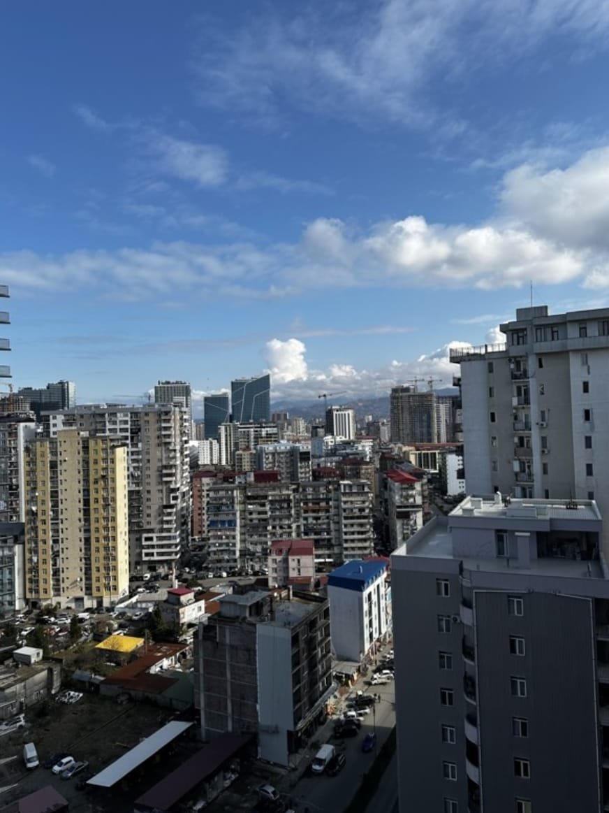 Mountain Veiw Apartment for Sale In Batumi 12