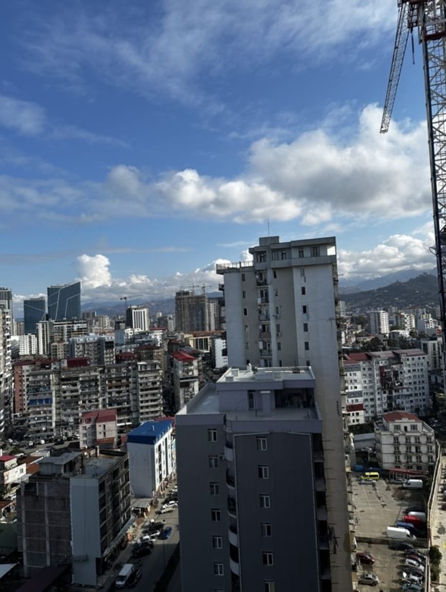 Mountain Veiw Apartment for Sale In Batumi 3