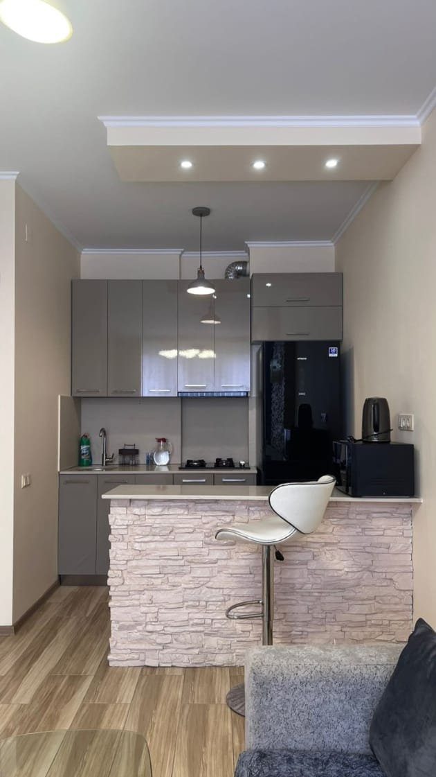 Niko Pirosmani Street 17