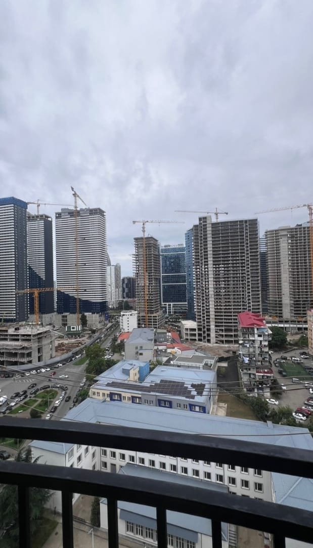 Niko Pirosmani Street 20