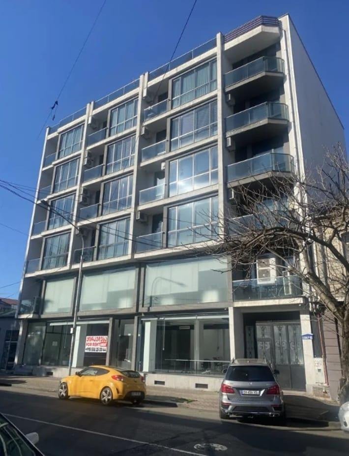 Alexander Pushkin Street (13)