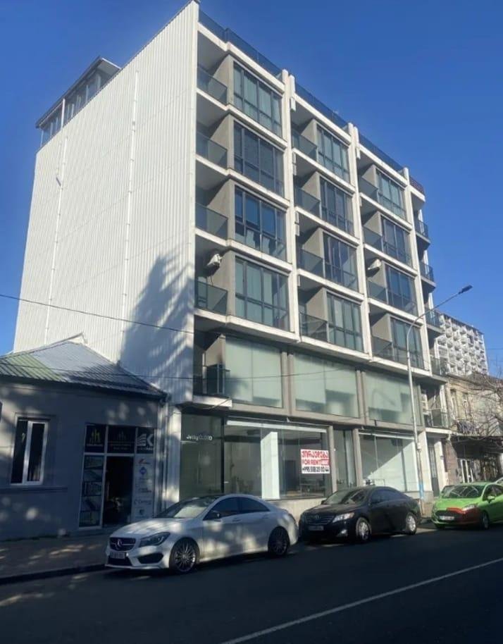 Alexander Pushkin Street (17)