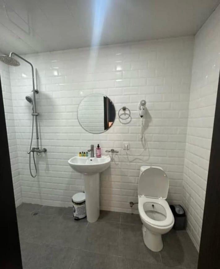 Alexander Pushkin Street (5)