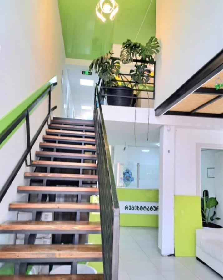 Ekvtime Taqaishvili Street (15)