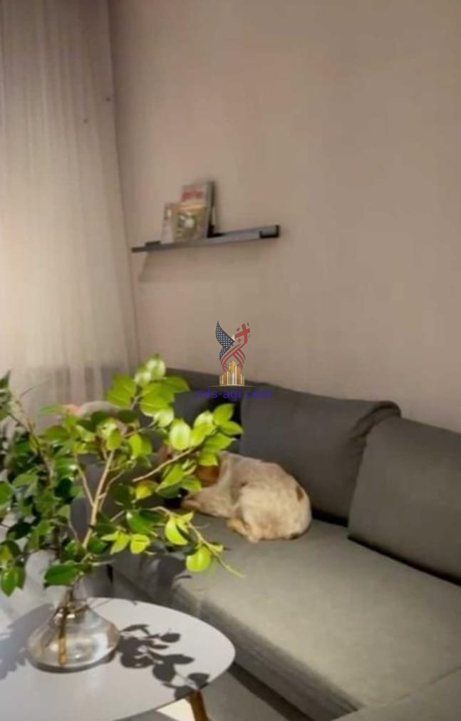 Petra Bagrationi st 129 129 4